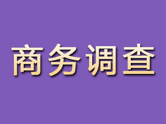 惠民商务调查